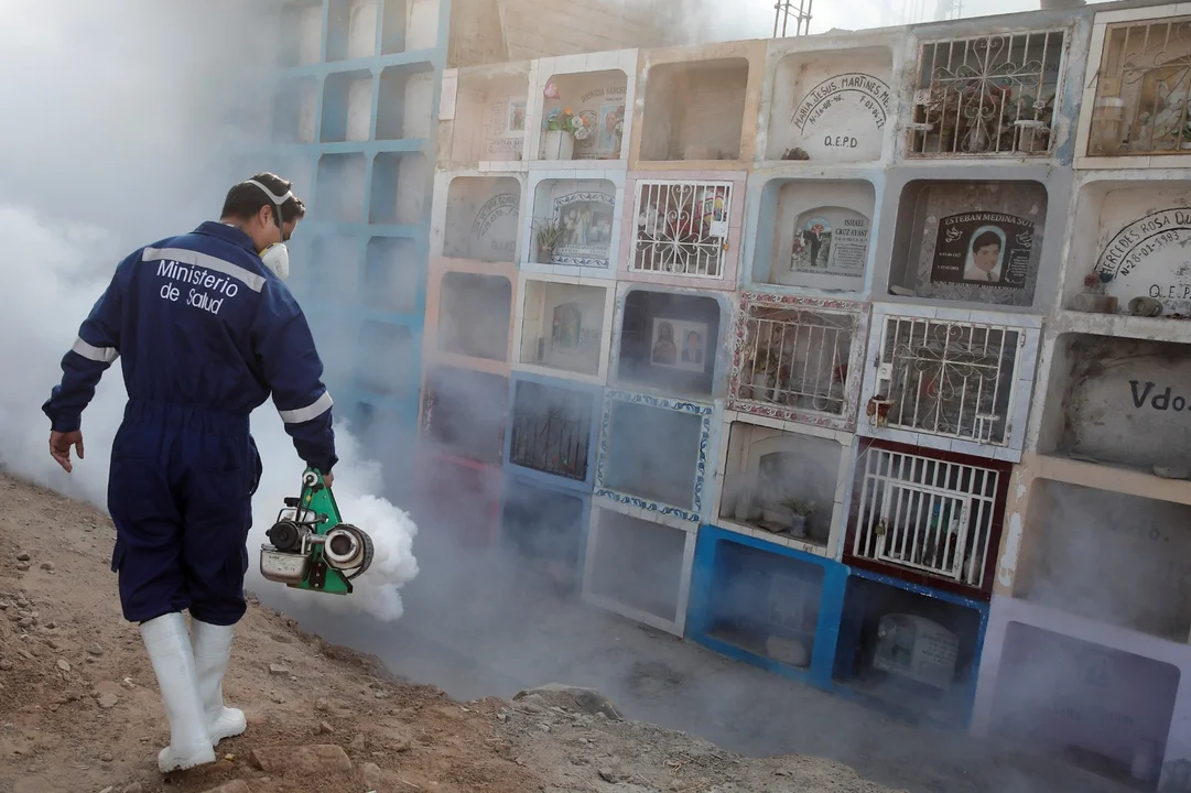 Perú declarará emergencia sanitaria la mayoría de sus regiones por dengue